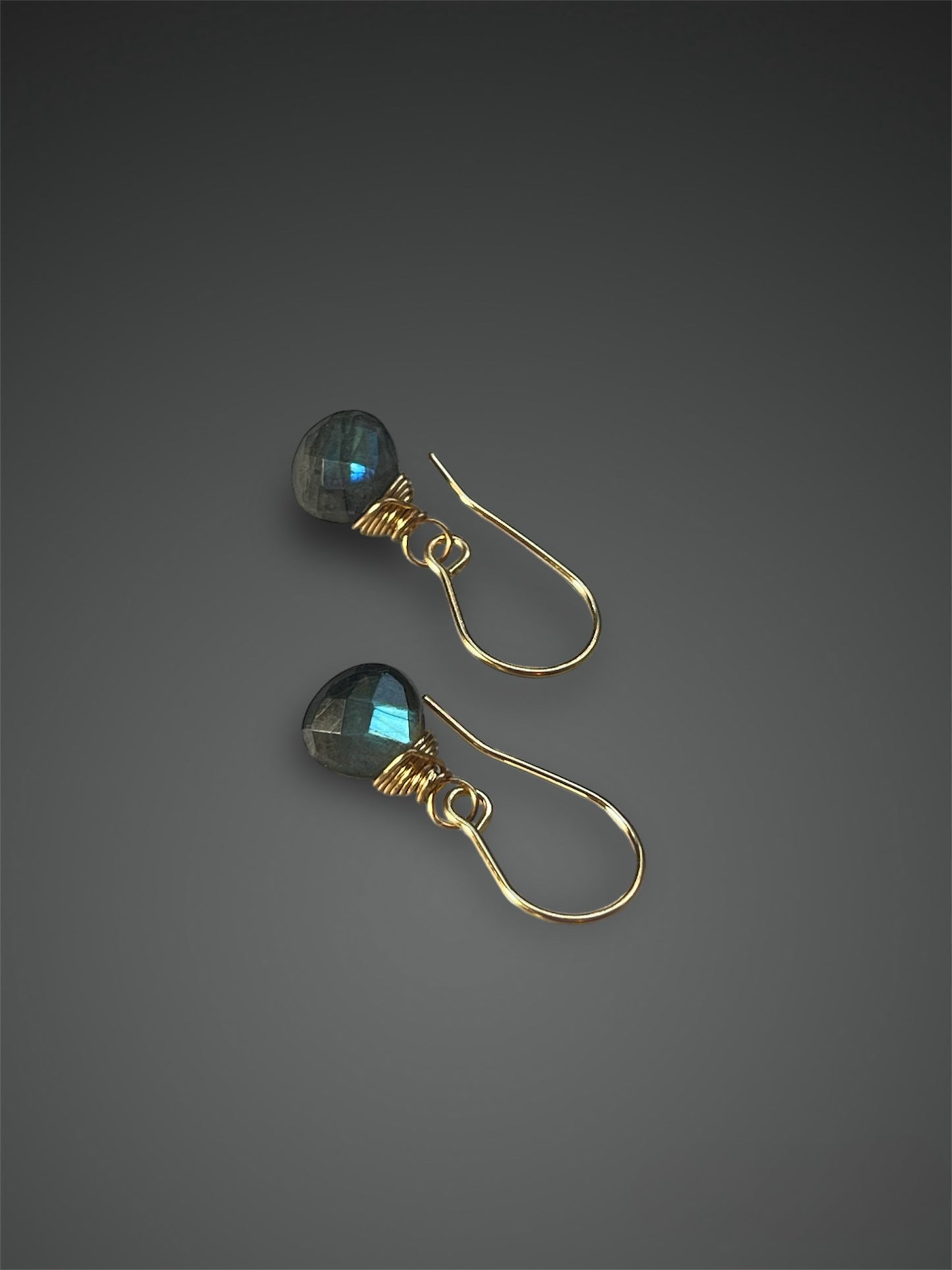 Faceted Labradorite Drop Earrings