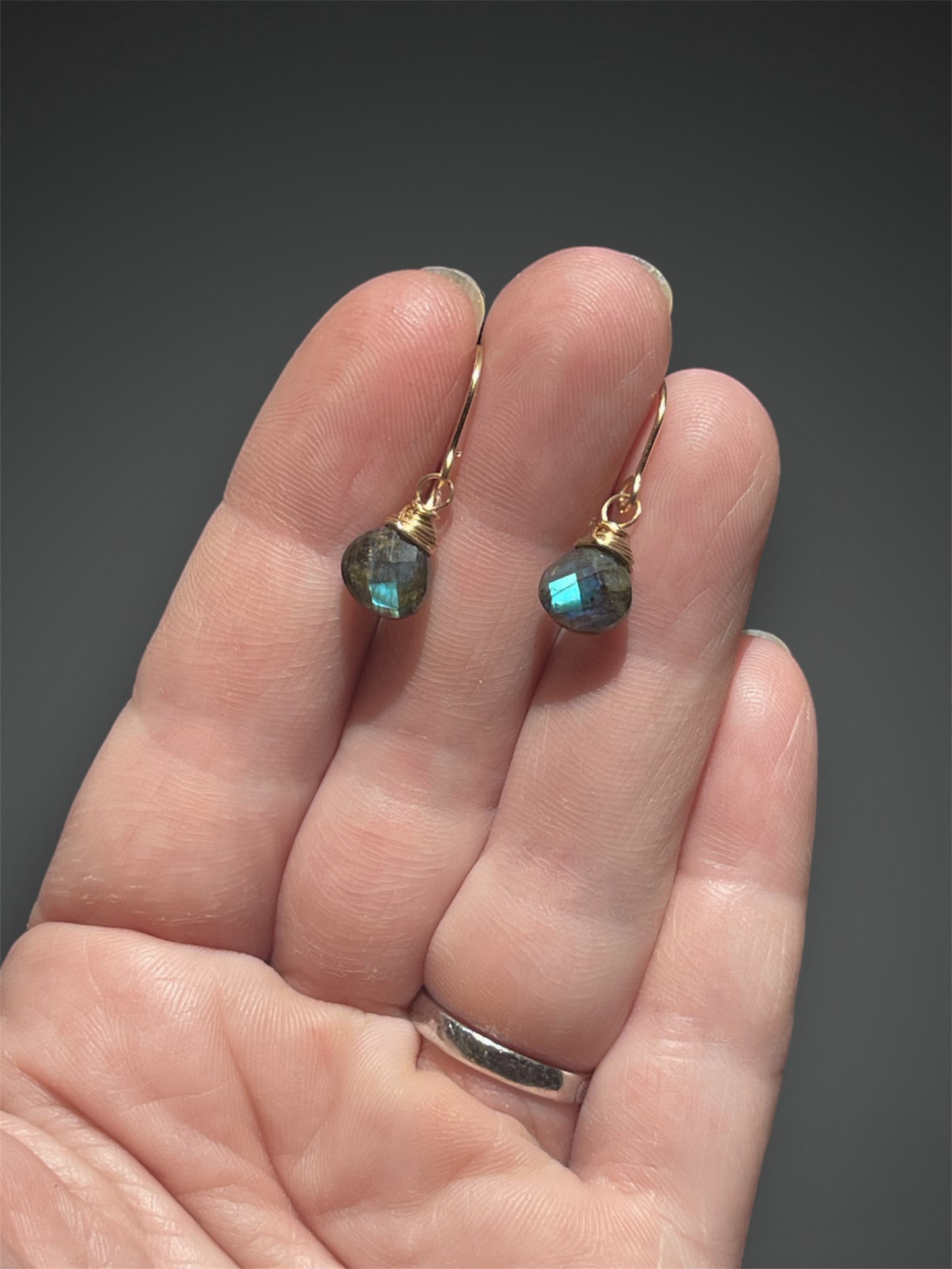 Faceted Labradorite Drop Earrings